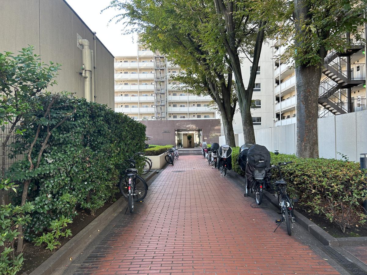 新宿区上落合の賃貸物件/マンションエントランスへの通り道。人が程よく行き交い、駅からの帰り道も寂しさをあまり感じない雰囲気です。