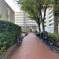 新宿区上落合の賃貸物件/マンションエントランスへの通り道。人が程よく行き交い、駅からの帰り道も寂しさをあまり感じない雰囲気です。