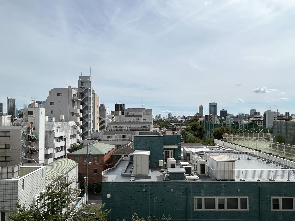 港区南青山の賃貸物件/眺望。ビル群が広がっていますが、緑もちらほら。