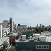 港区南青山の賃貸物件/眺望。ビル群が広がっていますが、緑もちらほら。