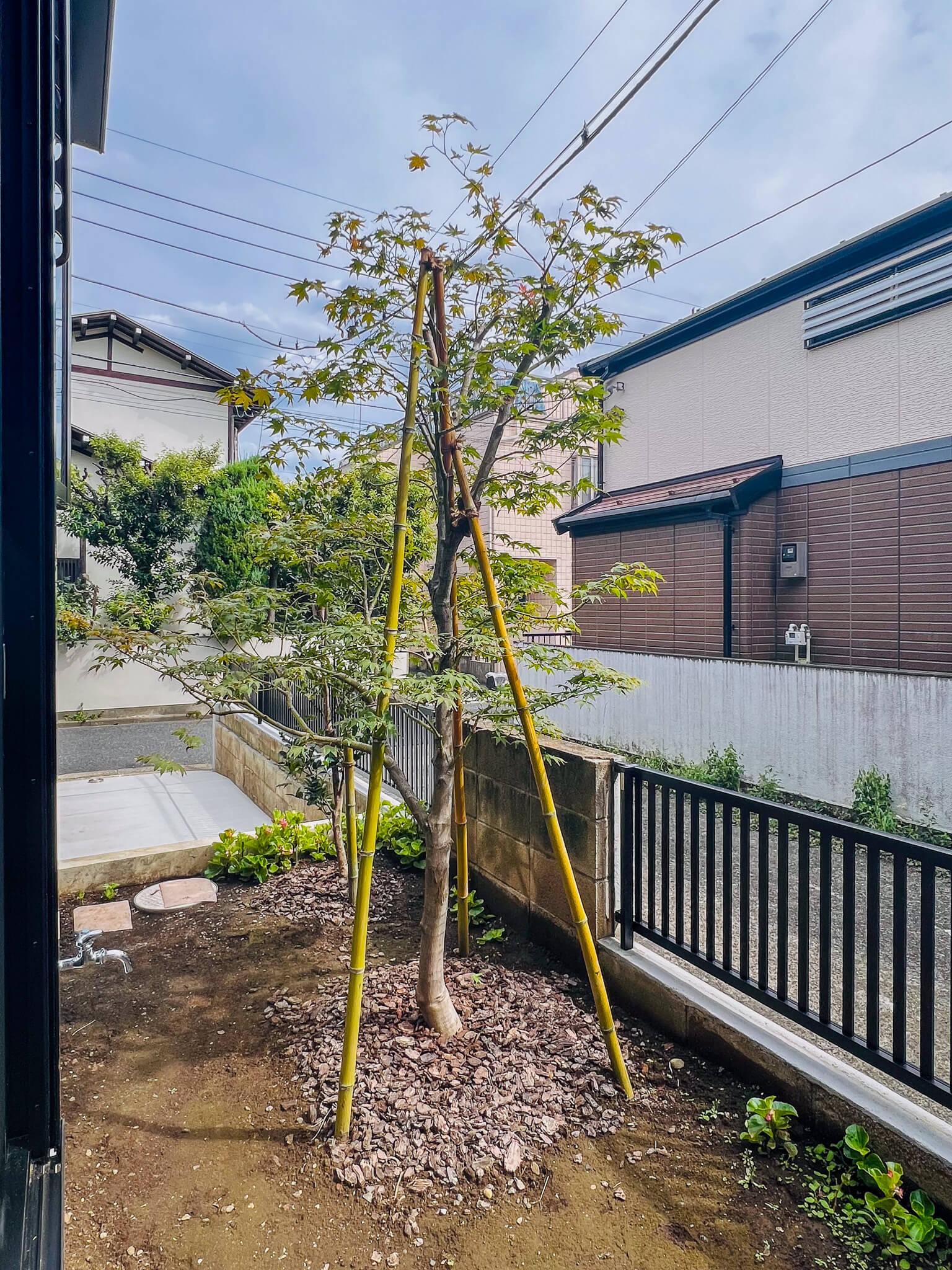 中野区上高田の賃貸物件/寝室からは庭の木を楽しめます