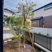 中野区上高田の賃貸物件/寝室からは庭の木を楽しめます