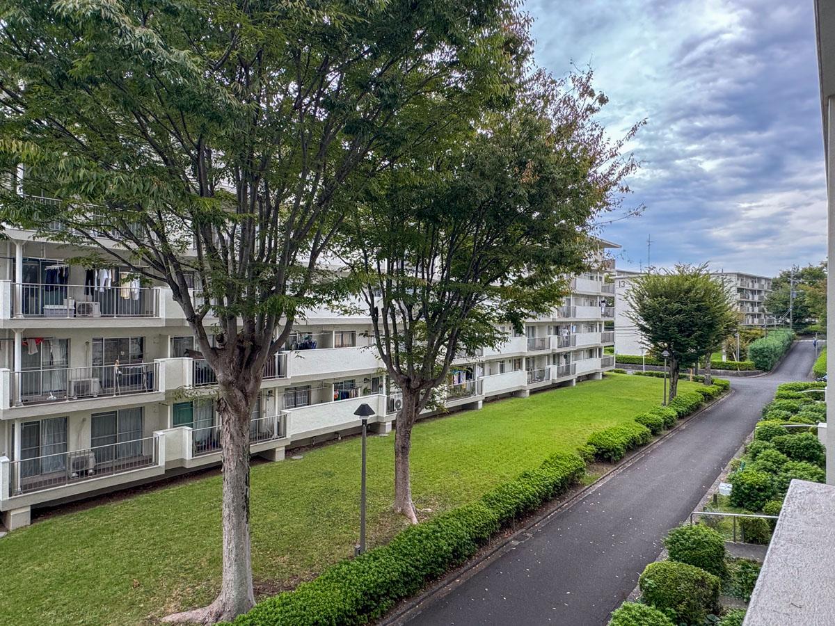 横浜市青葉区青葉台の賃貸物件/隣の棟とは距離がしっかり取られて、植栽や大きな樹木もある。団地ってぜいたくだなとしみじみ思います