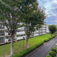 横浜市青葉区青葉台の賃貸物件/隣の棟とは距離がしっかり取られて、植栽や大きな樹木もある。団地ってぜいたくだなとしみじみ思います