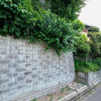 渋谷区広尾の売買物件/緑を感じられる住宅街。都心でありながら、この落ち着きが広尾の魅力