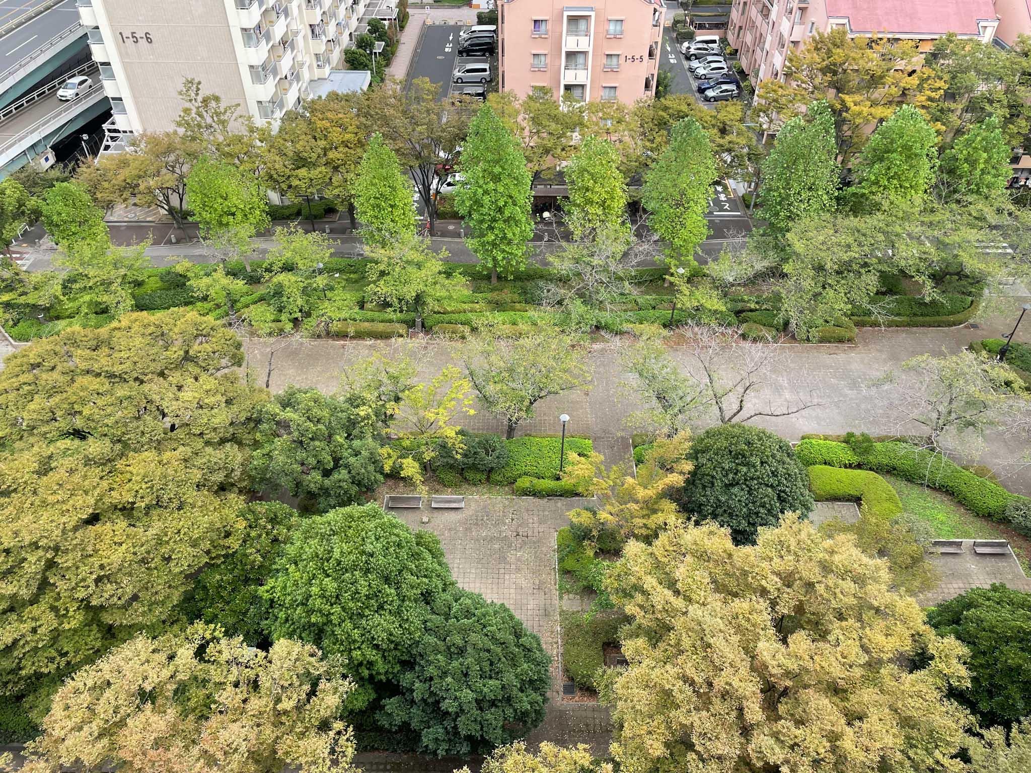 江戸川区小松川町の賃貸物件/視線を落とすと生い茂る緑が見えます