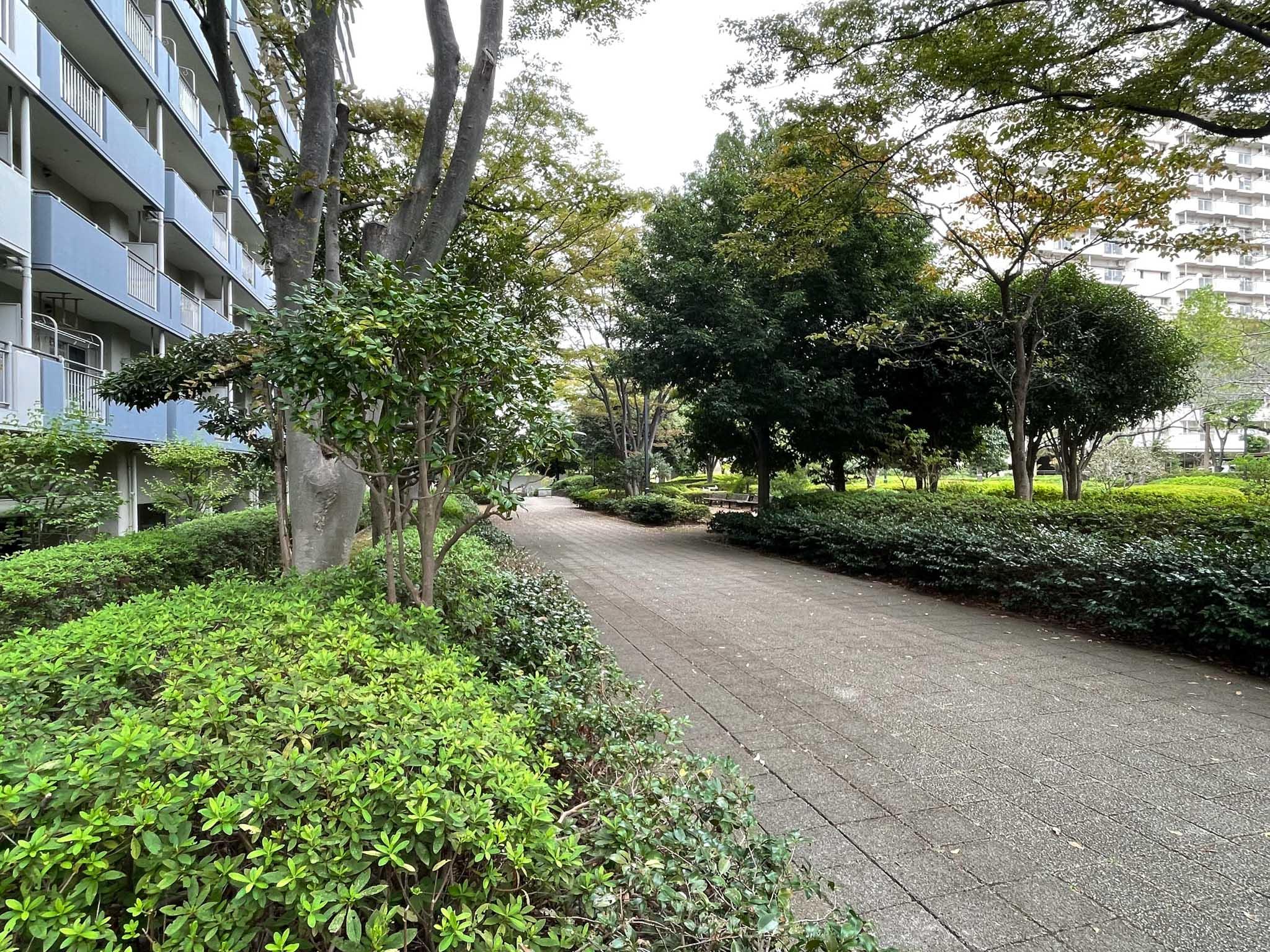 江戸川区小松川町の賃貸物件/マンション敷地内の緑