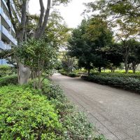 江戸川区小松川町の賃貸物件/マンション敷地内の緑