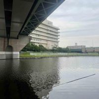 江戸川区小松川町の賃貸物件/ドッグランがありますね。犬、飼いたいなあ