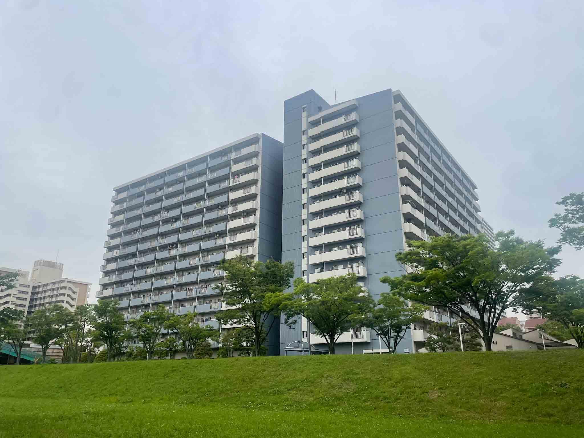 江戸川区小松川町の賃貸物件/川沿いから外観をパシャリ。このアングルが一番いい感じかな