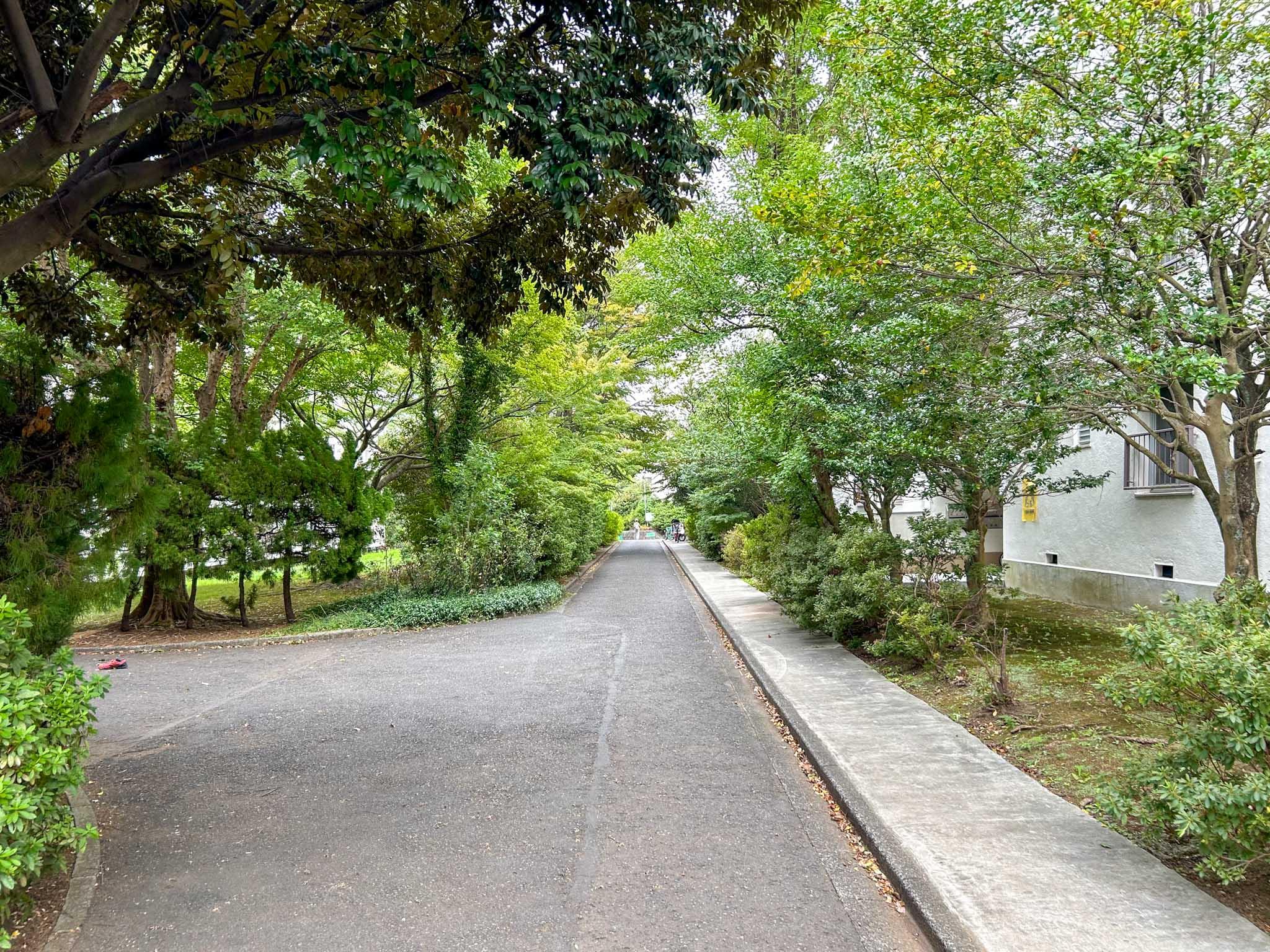 横浜市青葉区美しが丘の賃貸物件/出かけるときに、毎日見る景色