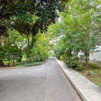 横浜市青葉区美しが丘の賃貸物件/出かけるときに、毎日見る景色