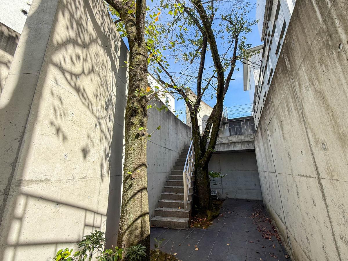 世田谷区代田の賃貸物件/オートロックを入ると、桜の木が植えられた中庭が待っている