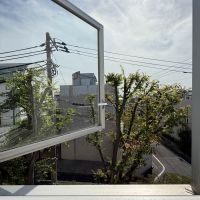 世田谷区代田の賃貸物件/南側の眺望。外には欅の木。2階表記ですが、実質3階くらいの高さの眺望です