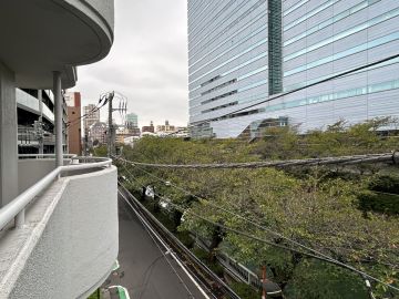 目黒区下目黒の賃貸物件/目黒川、横から見るか、前から見るか