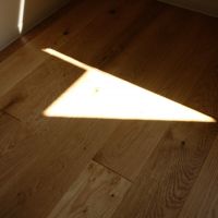 板橋区蓮根の賃貸物件/フローリングの質感はこんな感じ
