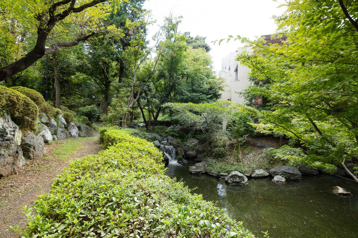 港北区大曽根の売買物件/広大な敷地にはたくさんの木々が並び、小川が流れています