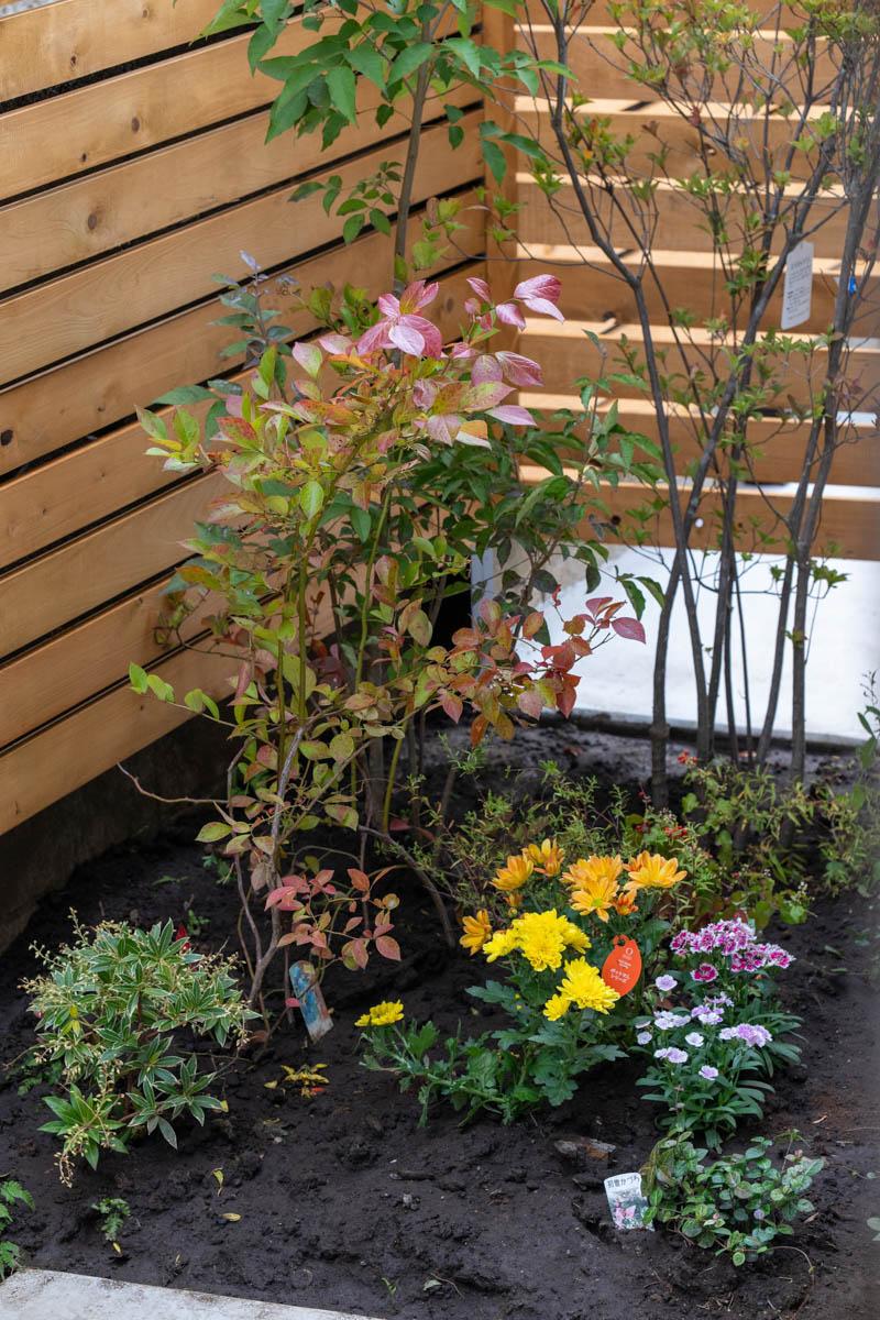 練⾺区下⽯神井の賃貸物件/お庭の一角には地植えがしやすい花壇スペースが（1階）