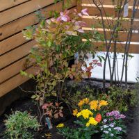 練⾺区下⽯神井の賃貸物件/お庭の一角には地植えがしやすい花壇スペースが（1階）