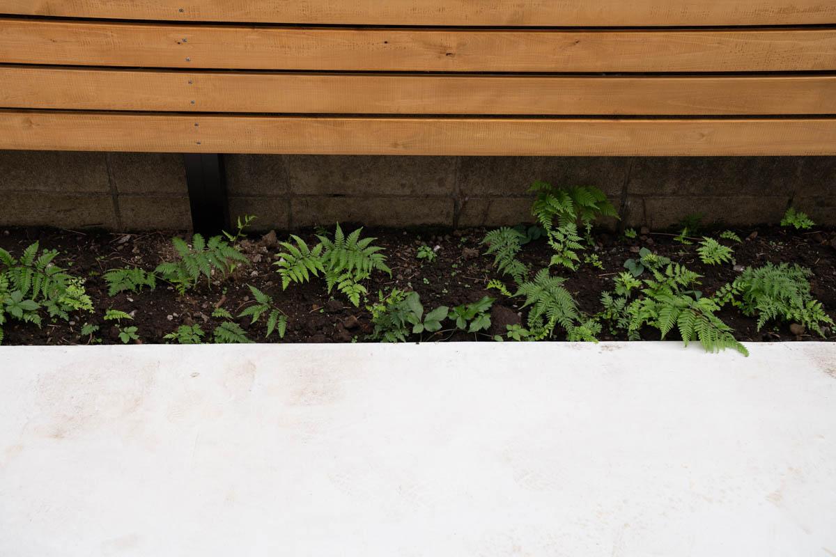 練⾺区下⽯神井の賃貸物件/花壇スペースだけでなく、ウッドフェンスの足元部分も地植えできるようになっています（1階）
