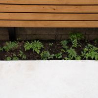 練⾺区下⽯神井の賃貸物件/花壇スペースだけでなく、ウッドフェンスの足元部分も地植えできるようになっています（1階）