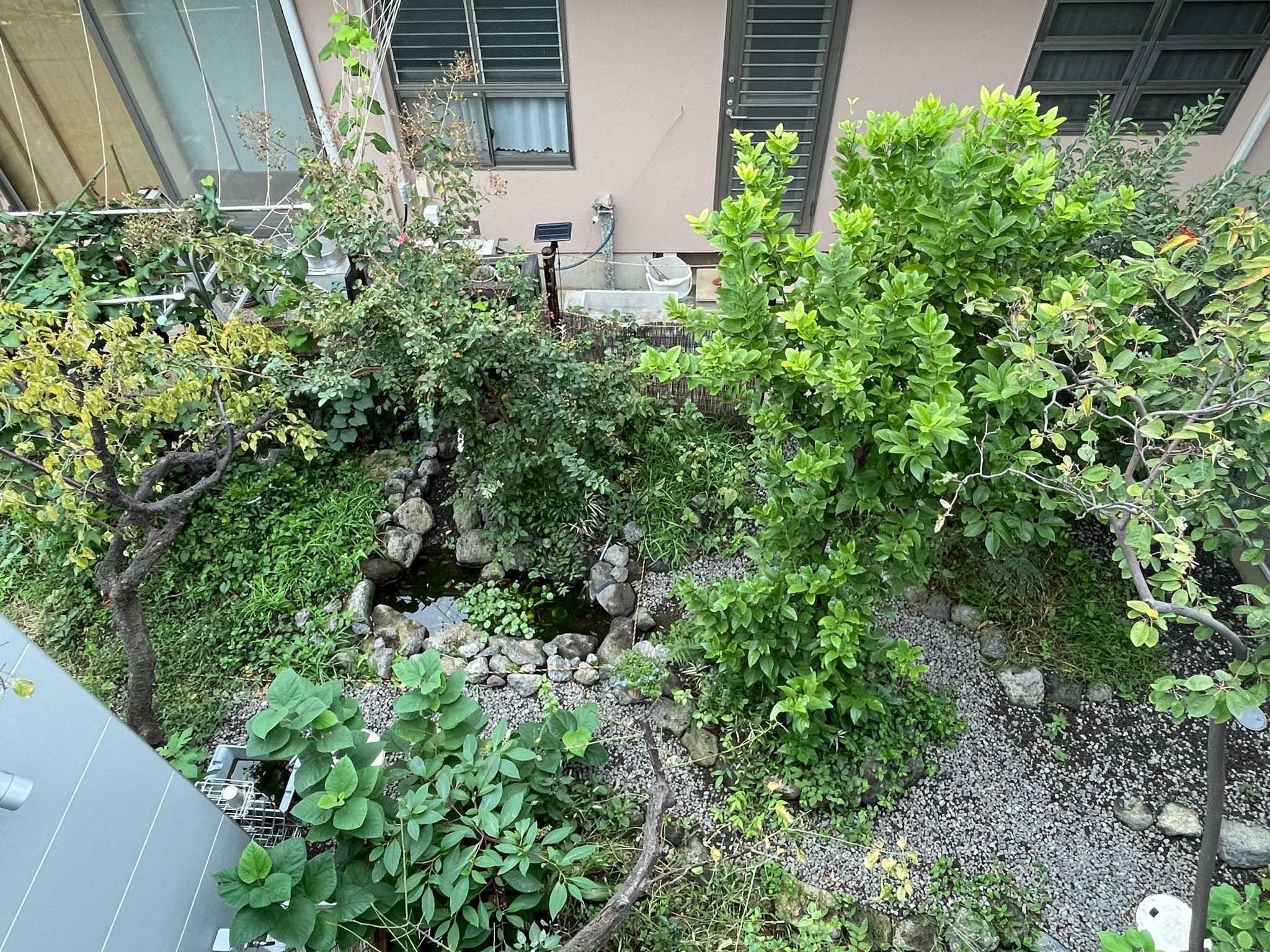 世田谷区豪徳寺の賃貸物件/バルコニーからも中庭が覗き込めます