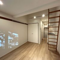 三鷹市井の頭の賃貸物件/壁に映る光と木の影が幻想的です