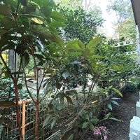 三鷹市井の頭の賃貸物件/バルコニーがないので洗濯物は窓から干すスタイル