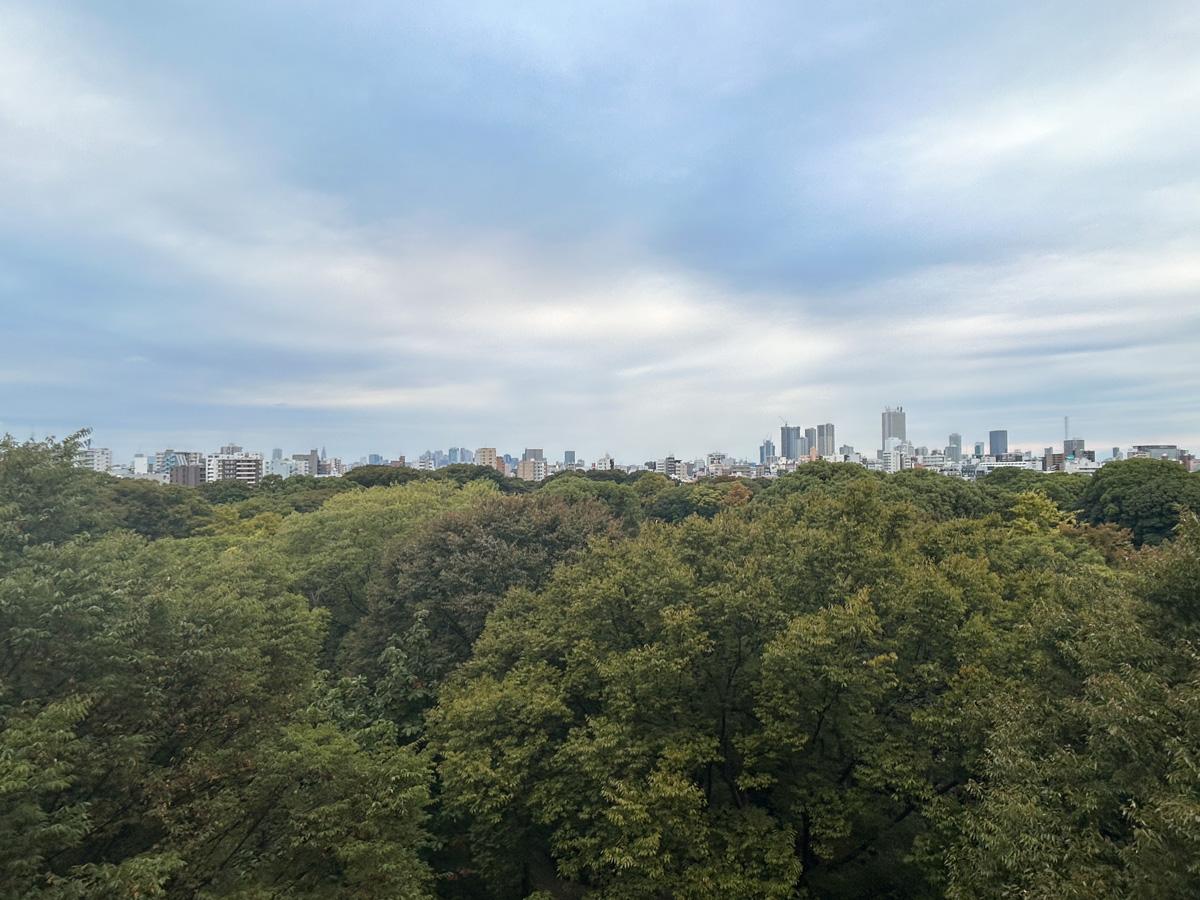 文京区本駒込の賃貸物件/眺望はドカンと緑。晴れた日にはうっすら富士山も見えるそうです。