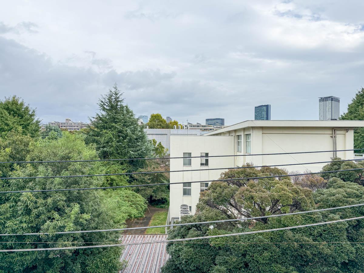 世田谷区池尻の賃貸物件/東側の眺望。学校の敷地になっている、緑がたくさんあり気持ちいい