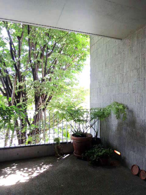 世田谷区玉川田園調布の賃貸物件/木漏れ日を感じる共用部はこれまたすてきな雰囲気です