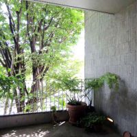 世田谷区玉川田園調布の賃貸物件/木漏れ日を感じる共用部はこれまたすてきな雰囲気です