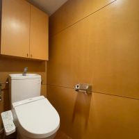 中野区松が丘の賃貸物件/203：トイレ