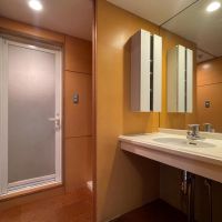 中野区松が丘の賃貸物件/202：洗面所。奥に洗濯機置き場があります