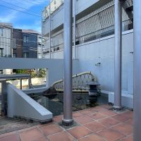 中野区松が丘の賃貸物件/共用部分に池があります