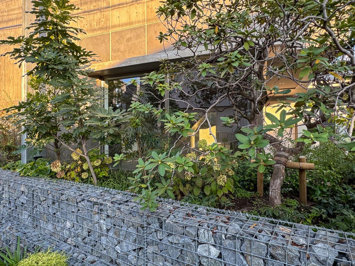 杉並区西荻北の賃貸物件/N1号室を外から見た図