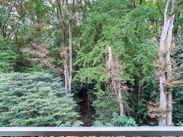 渋谷区代々木の賃貸物件/深い森とつながる部屋