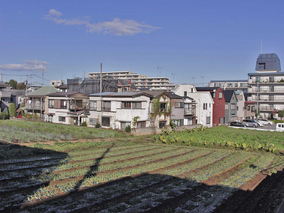 西東京市柳沢の売買物件/計画地：現地の畑を少し高いところから。なだらかな斜面になっています