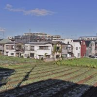 西東京市柳沢の売買物件/計画地：現地の畑を少し高いところから。なだらかな斜面になっています