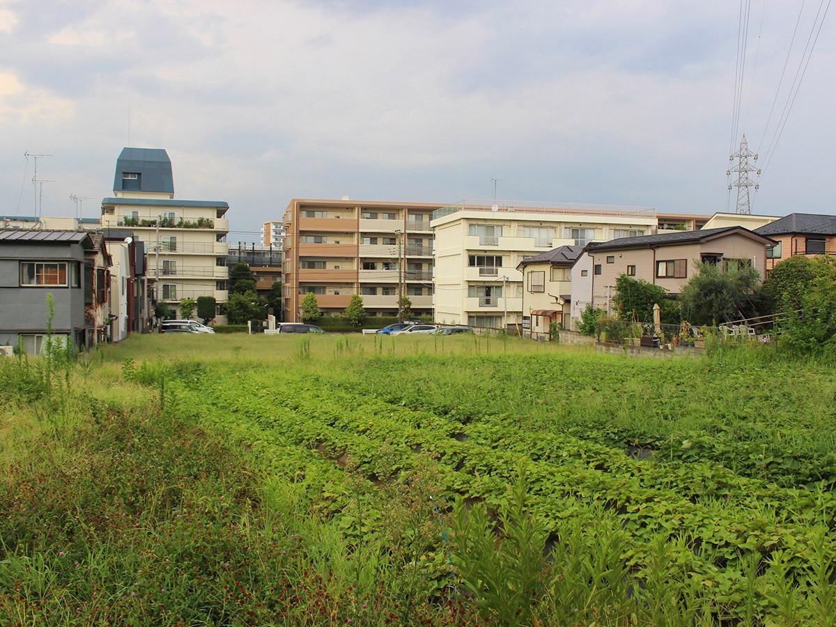 西東京市柳沢の売買物件/計画地：現地は畑と駐車場。撮影：丹下恵実