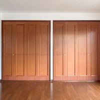 世田谷区桜新町の賃貸物件/メインの収納はこのふたつ