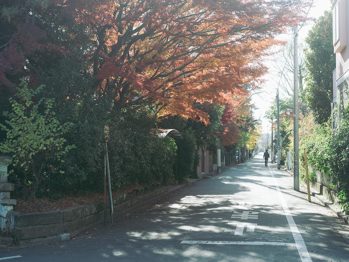 東久留米市学園町の売買物件/緑豊かな街区が続く稀有な住宅地、学園町