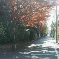 東久留米市学園町の売買物件/緑豊かな街区が続く稀有な住宅地、学園町