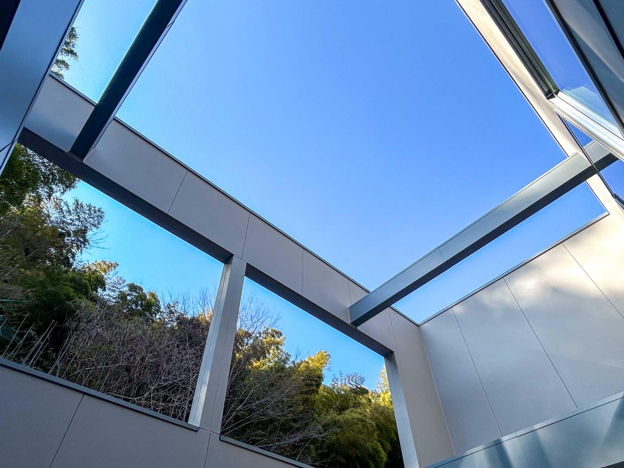 川崎市多摩区東生田の売買物件/庭から上を見上げる。見えるのは青空と緑だけ