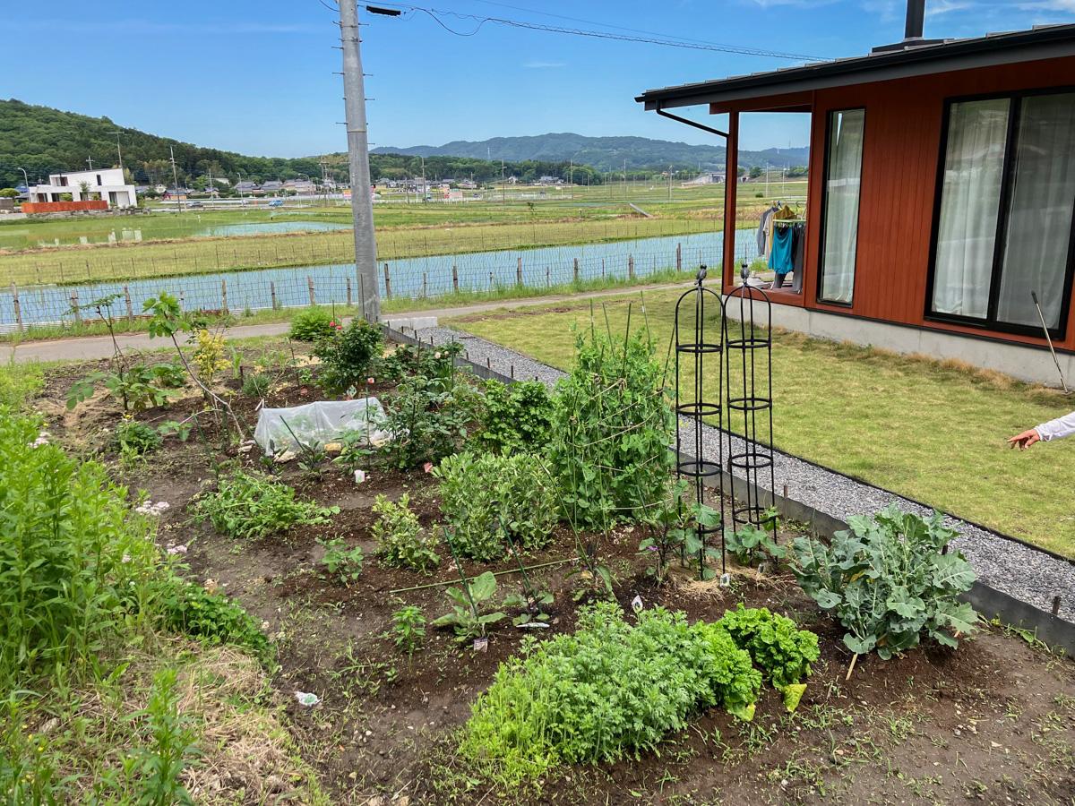 茨城県桜川市犬田の賃貸物件/家庭菜園を楽しんでいるお宅