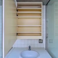 世田谷区代田の賃貸物件/洗面台の鏡の中には収納と照明が隠されています