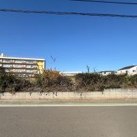 埼玉県新座市新堀1-14の売買物件/北側の土地は、少し荒れていますが農地です