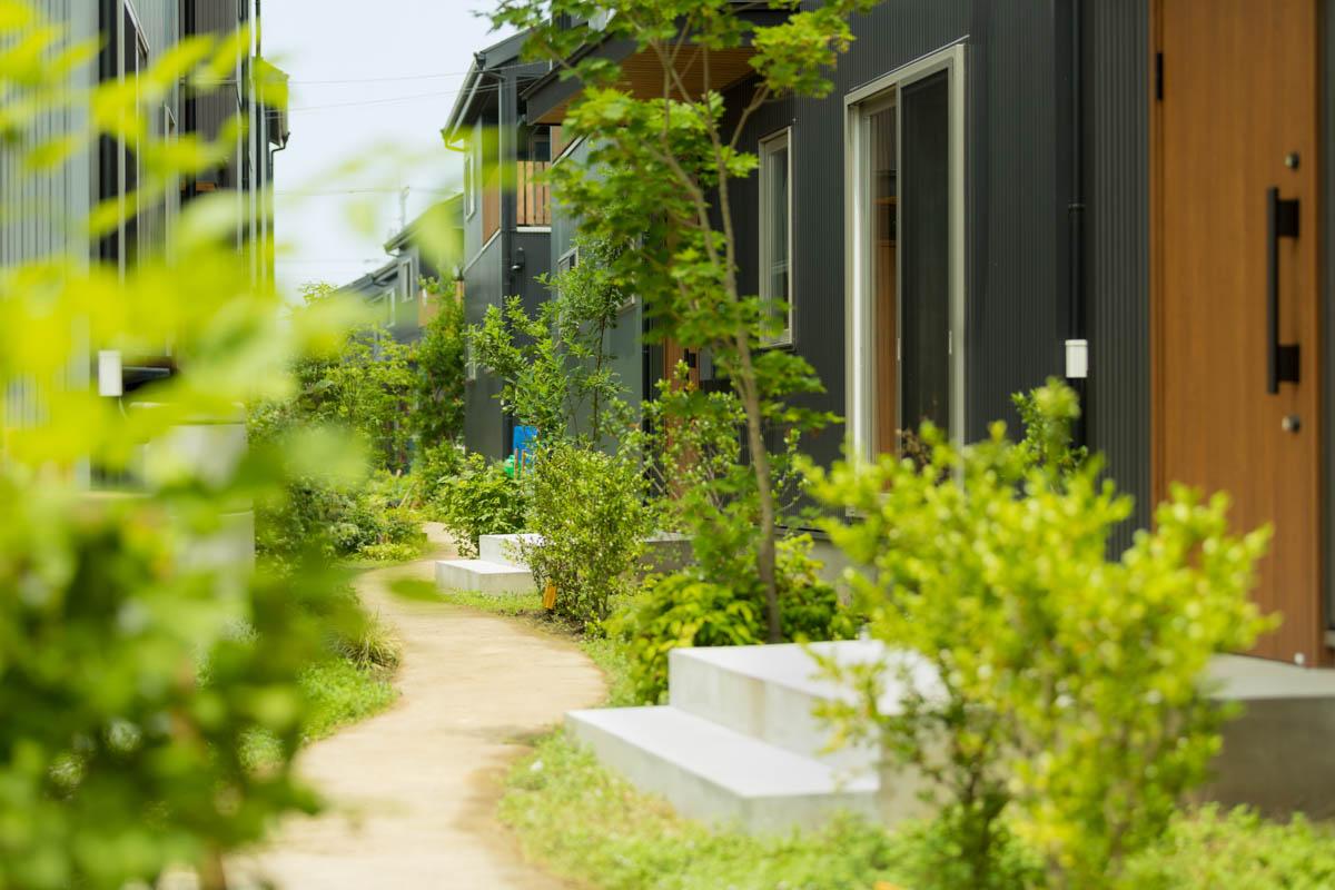 埼玉県新座市新堀1-14の売買物件/過去のプロジェクトの竣工写真。敷地に軒路をつくり、植栽で囲むような敷地設計になります。土壌や環境を大切にし、地球に寄り添うような宅地開発を目指す計画