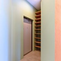 練馬区豊玉中の売買物件/玄関は優しいグリーンに塗装され、雰囲気よくデザインされています