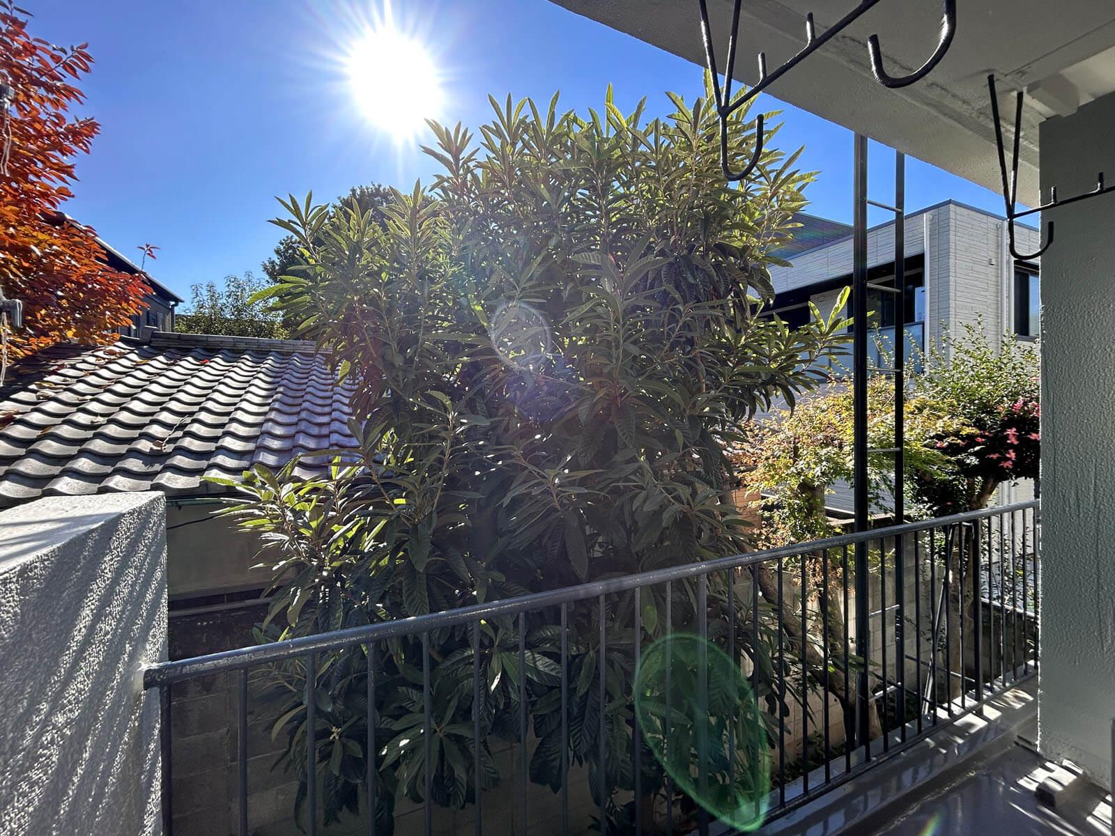 杉並区和田の賃貸物件/お向かいの屋根の上で猫が昼寝していることも　